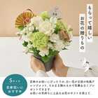 【送料無料】祝！百寿「白」100歳S