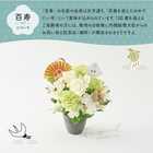 【送料無料】祝！百寿「白」100歳S