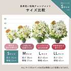 【送料無料】祝！百寿「白」100歳S