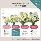 【送料無料】祝！百寿 M 〜白〜｜100歳のお祝い