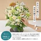 【送料無料】祝！百寿「白」100歳L