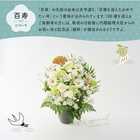 【送料無料】祝！百寿「白」100歳L