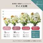 【送料無料】祝！百寿「白」100歳LL〜オーキッド〜