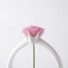 Bloom Ring