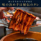 国産 浜松 浜名湖 うなぎ カット蒲焼２枚セット（化粧箱入り）