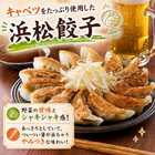 静岡 富士宮やきそば 浜松餃子 天神屋たぬきむすび 食べ比べ 3種 4人前入