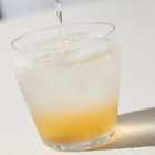 【全国梅酒品評会2024金賞梅酒】原酒梅酒 7200ml