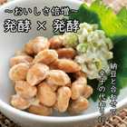 菜乃屋 わさび漬 封印 80g×2個