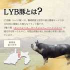 静岡県産LYB豚（ルイビ豚）PREMIUMUステーキ3種セット