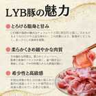 静岡県産LYB豚（ルイビ豚）PREMIUMUステーキ3種セット
