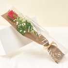 【3本から購入可能】1輪とかすみそうのブーケ [クリアケース付き/メッセージカード対応] | バラ