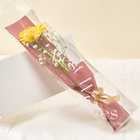 【3本から購入可能】1輪とかすみそうのブーケ [クリアケース付き/メッセージカード対応] | ガーベラ