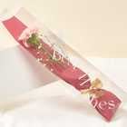 【3本から購入可能】1輪とかすみそうのブーケ [クリアケース付き/メッセージカード対応] | カーネーション