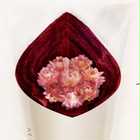 FLOWERパールエディション／フェイスタオル | カラー | リッチマゼンタ 