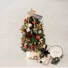 【送料無料】【名入れ】クリスマススペシャルセット クリスマスミニツリー | フォレストレッド