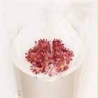 FLOWERパールエディション／フェイスタオル | カラー | ピュアホワイト 