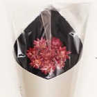 FLOWERパールエディション／フェイスタオル | カラー | ダークネイビー 