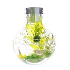 【名入れ】ハーバリウム S | グリーン