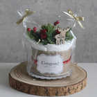 【クリスマス限定】オーガニックおむつケーキ | ラッピング画像