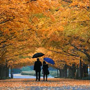 記念日はここに決定！秋を堪能できる東京近郊おすすめデートスポット7選