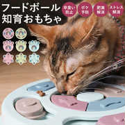 ペットのための誕生日プレゼント|飼い主さんも大満足のアイテムを厳選