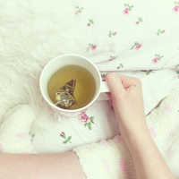 お茶のプチギフトおすすめ特集！感謝の気持ちが伝わる"ささやかな"お茶ギフト。