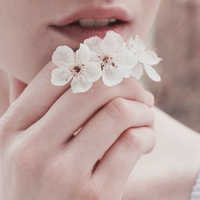 贈る相手を花言葉で応援！言葉を添えて贈る、特別なお花を贈ろう