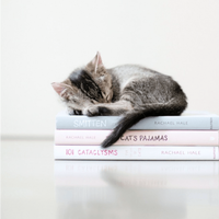 ニャンと素敵なプレゼント!猫好きの友人にプレゼントしたい、癒しの猫本