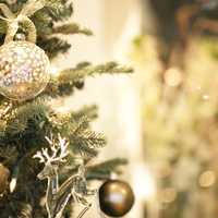 ちょっとしたクリスマスプレゼント特集！身近な人へ気持ちを伝えるささやかなギフト