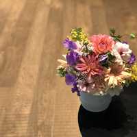 5000円前後の予算で贈る、年配女性に喜ばれる上質なプレゼント15選