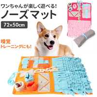 飼い主も大満足!愛犬のための誕生日プレゼント15選