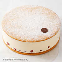 手土産にぴったりなこだわりのチーズケーキ特集!リッチな味わいにうっとり