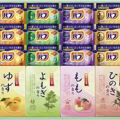 炭酸 薬用入浴剤セット