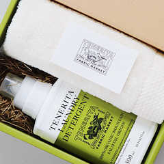 フェイスタオル&LAUNDRY DETERGENTセット