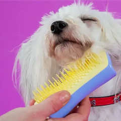 TANGLE TEEZER(タングルティーザー ) ペットティーザー スモール