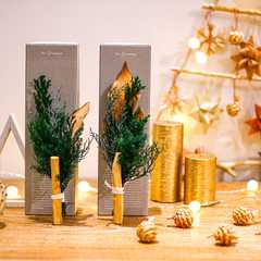 【クリスマス限定】Positive Energy Palo Santo Swag Holy Christmas