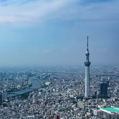 東京都内スカイクルージング[昼便｜20分]