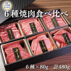 A5等級 黒毛和牛 6種焼肉 食べ比べセット 480g