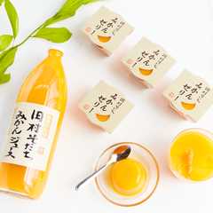 竹武農園 みかんジュースとゼリーのセット