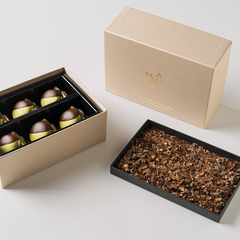 NAMA CHOCOLATE MACARON ピスタチオ