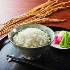 越後雪室屋 氷温®熟成新潟こしひかりパックごはん 180g×34パック