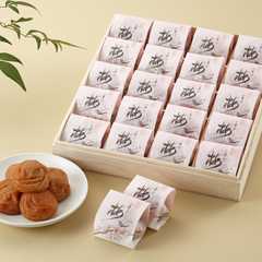 和歌山 紀州南高梅 梅満開 うす塩味400g