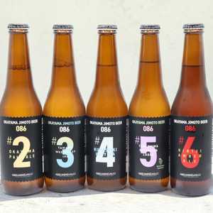クラフトビール5本セット