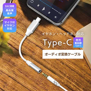 Type-C専用オーディオ変換ケーブル