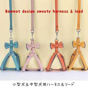 小型犬＆中型犬用ハーネス＆リードセット