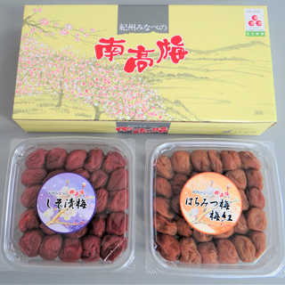 紀州みなべの南高梅 2種個入り