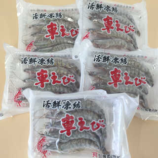 熊本・沖縄 活鮮凍結 活き〆冷凍車海老 車海老×5パック