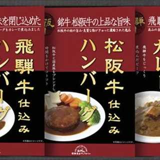 飛騨高山ファクトリー 松阪牛・飛騨牛仕込みハンバーグ&カレー詰合せ