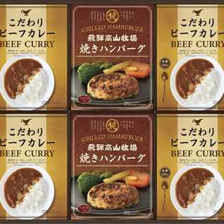 飛騨高山牧場 焼ハンバーグ&ビーフカレーセット BHF-DJ