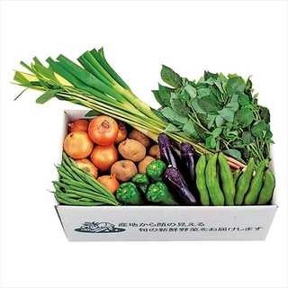 千葉県産 旬の有機野菜セット B2152